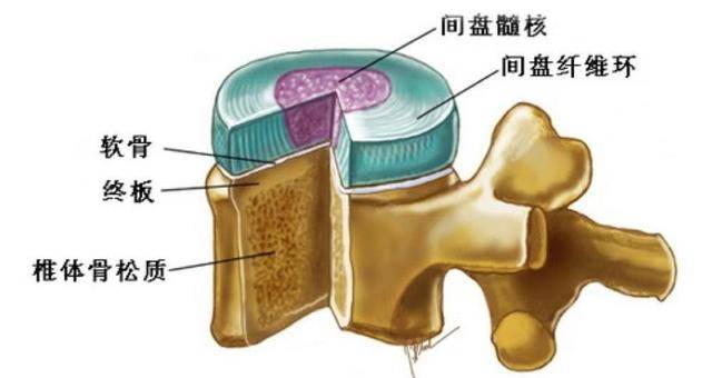 腰痛腿麻？这份超全的“科学护腰指南”赶紧收藏！
