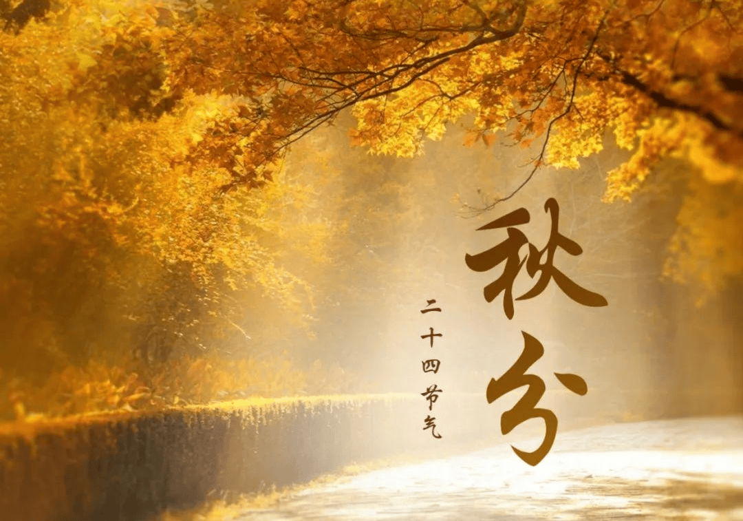 原创            9月23日秋分，再忙也要吃5种“秋菜”，应季滋养润燥，秋冬少生病