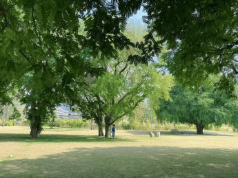 帝寒金温 | 三伏天祛湿红黑榜，这些食物别吃