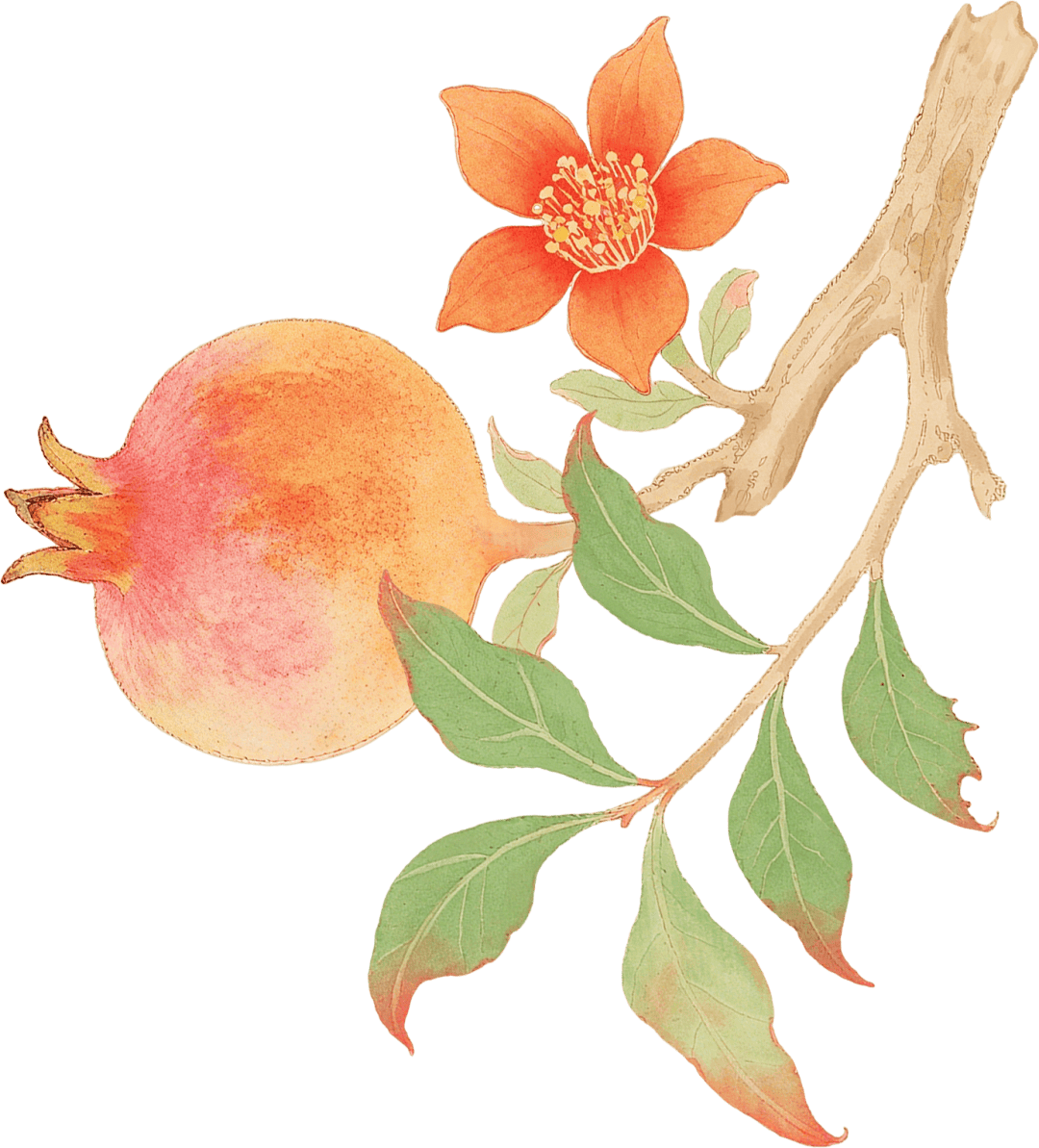 秋吃白，病不来！收下这份“白色食谱”