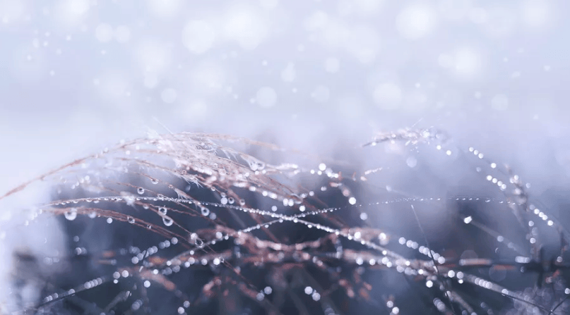 24节气顺时养生|白露养生攻略已送达