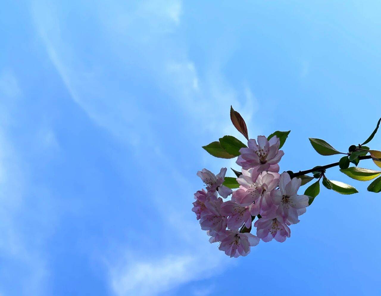 原创            男人对你做以下的事，是想离婚了