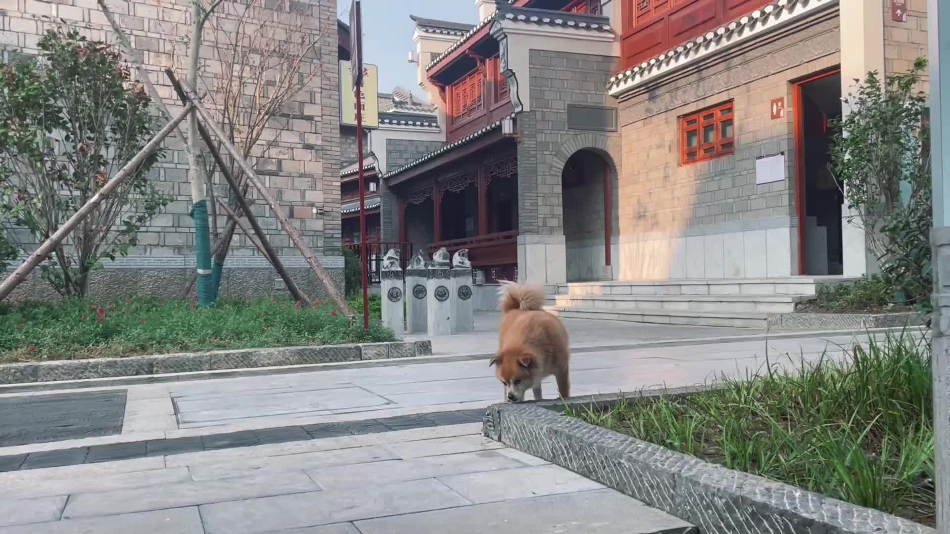 寻找小镇创业家｜他在荆门老街为湖北非遗造了一个“家”