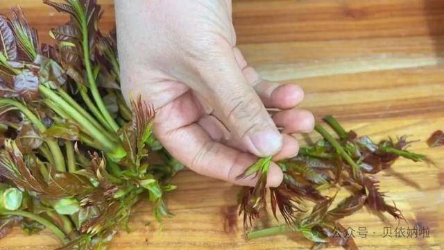 天气炎热，遇到这菜使劲吃，祛暑化湿、清热解毒