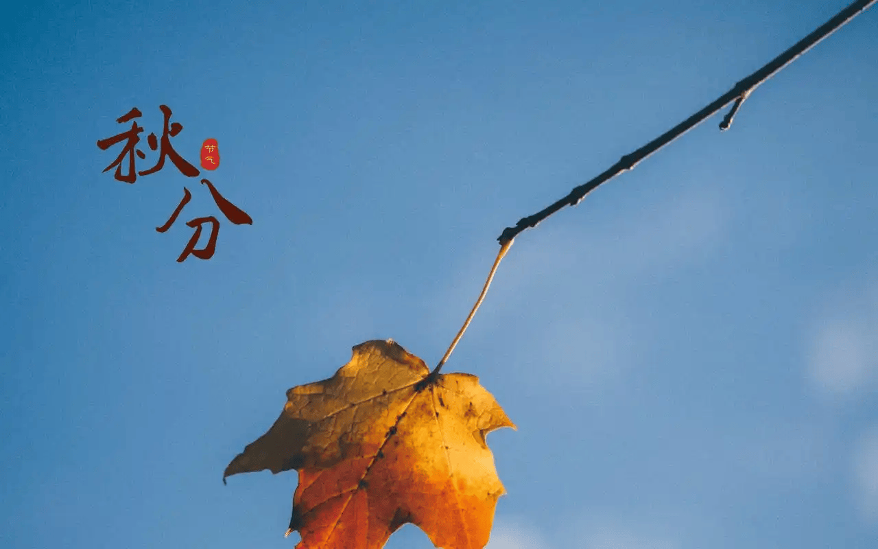 原创            明日秋分，别忘：蒸2鲜，煮2白，忌2果，合理饮食，滋润舒适度秋