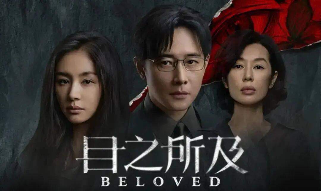 以案说法·兴法治丨《目之所及》：当目光穿越迷雾，法律照亮人生