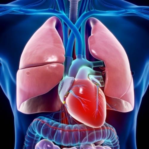 男性超声检查需要憋尿吗？—平创医疗