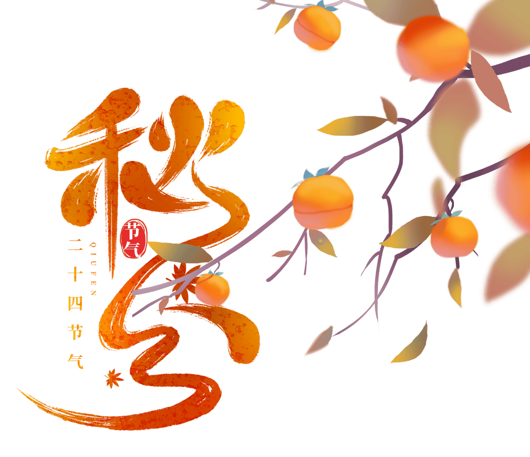 秋分•节气 | 月皎平分夜 风清半冷秋