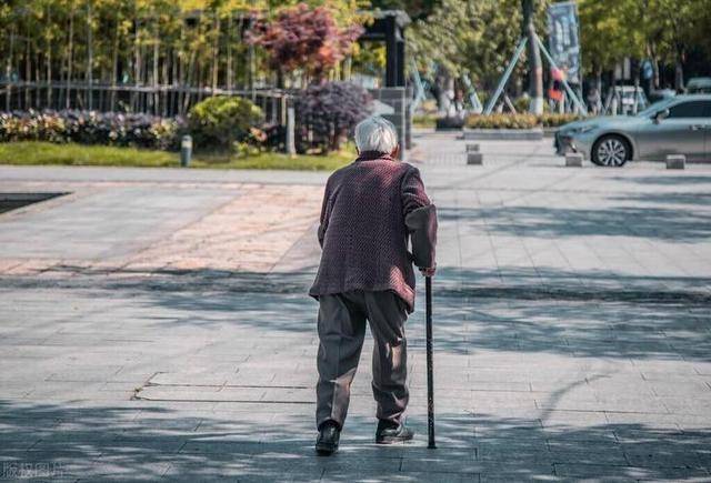 柿子、葡萄靠边站！秋天常吃这4种“护骨”食物，腿脚灵活少摔跤