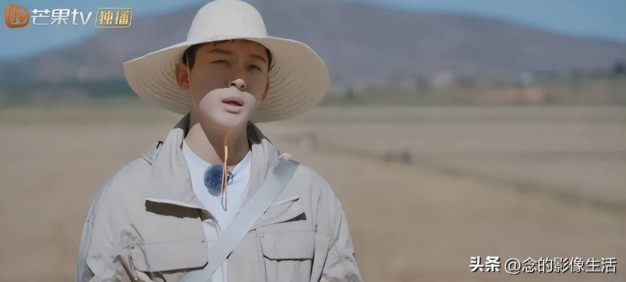 原创            很可惜，张晚意绝不是马思纯的理想型