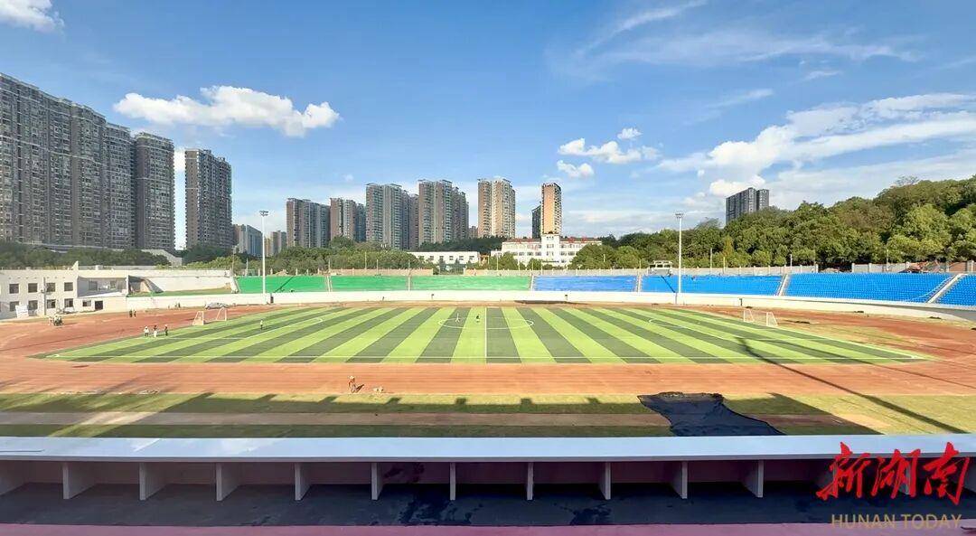 “湘超”永州主场一票难求，官方推出“树上挂票”并提醒：每棵树限挂160斤以下的3人，严禁带蛇观赛