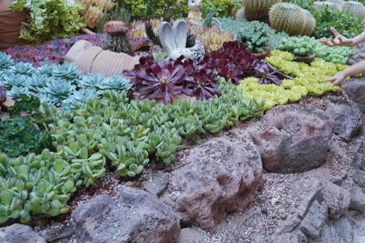 民治街道一社区举行艺术疗愈工作坊活动