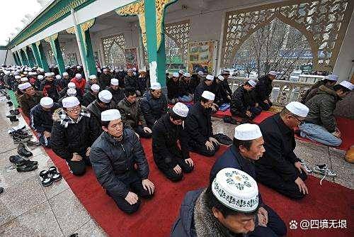 原创            穆斯林为何禁食猪肉？背后，竟隐藏着这些惊人真相！