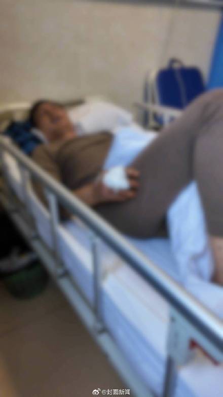 男子捡菌被黑熊一掌打下山坡 当地林业局已为其购买“野生动物致伤保险”