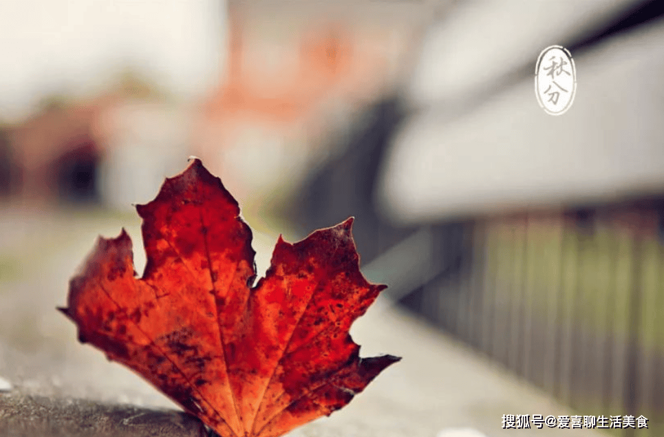 原创            明日秋分，再忙别忘记“做3事，吃3菜，品3果”，身强体健好度秋！