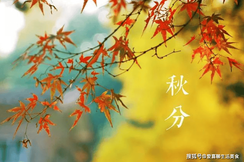 原创            9月23号是秋分，叮嘱家人：捂住2处，不做3事，常吃4样，舒坦度秋！