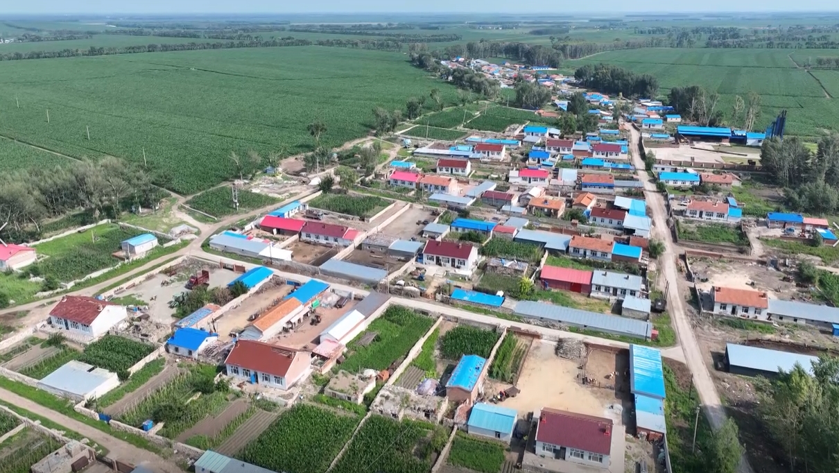 龙江县景星镇开展大豆轮作生产者补贴核查工作