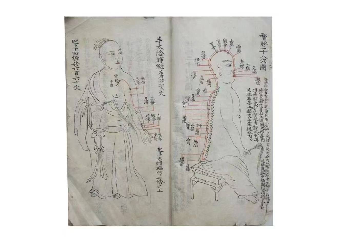 图解经络精华：《经络图要》的 108 页价值
