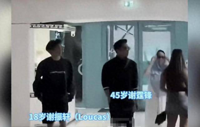 原创            看到大儿子“粘着”谢霆锋，就知道张柏芝终于想通，王菲要努力了