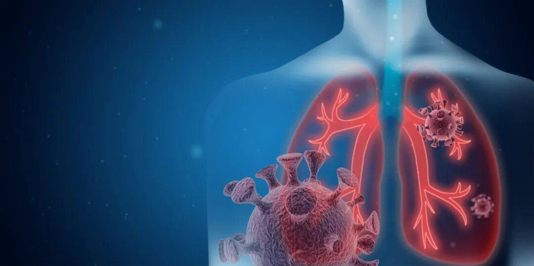 肺好不好，看手这里！养肺秘诀：秋吃白，病不来