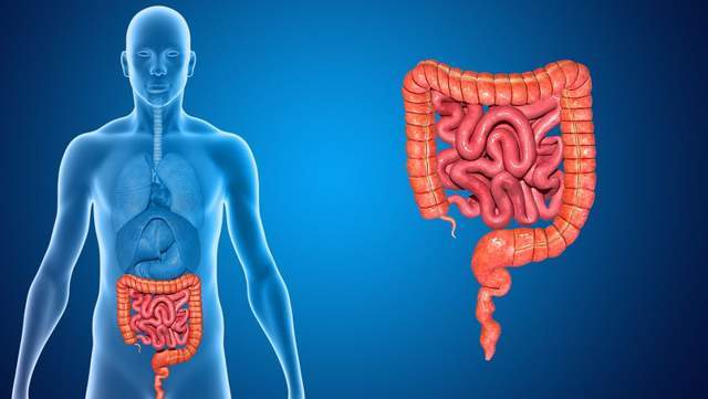 原创            身体出现6类症状，你的肠道可能出问题了，5个习惯正摧毁肠道