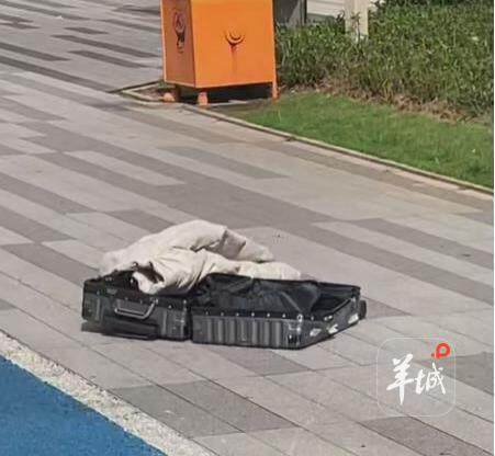 广州一小区43楼突抛行李箱，楼下行人正在散步……警方：刑拘！