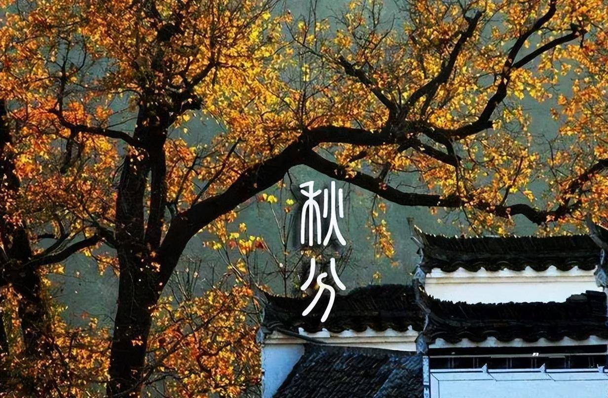 原创            明日秋分，牢记“2不吃、2不睡、2不做”，顺季节调整，为秋冬打基础