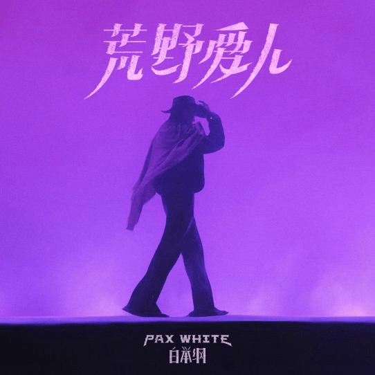 白举纲谈《荒野爱人》：孤独的世界里重拾自己