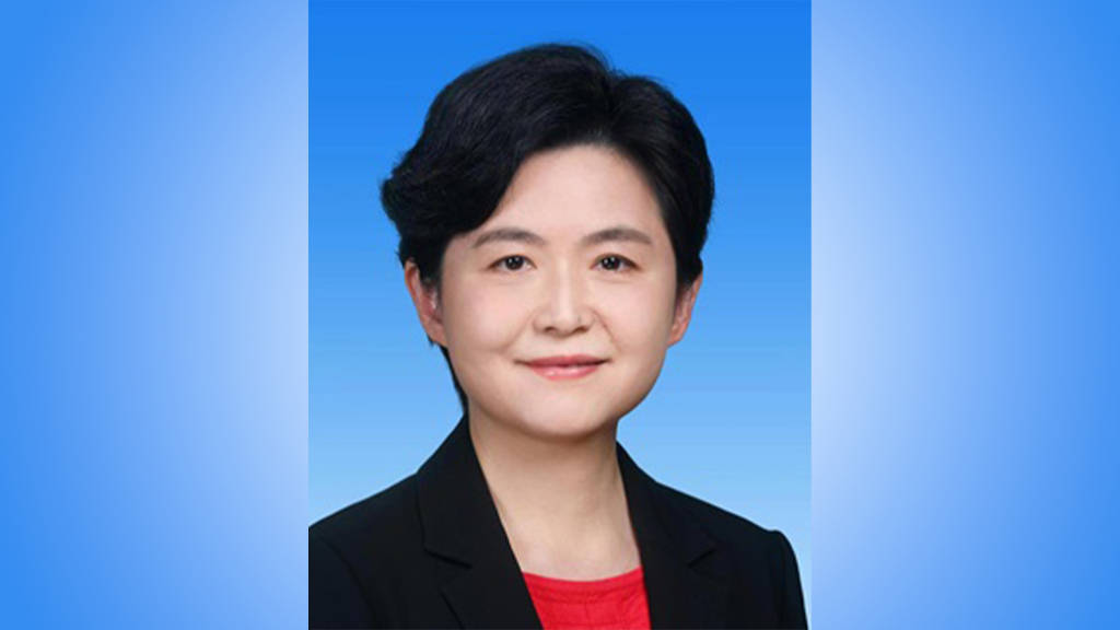 黑龙江省副省长王岚已任黑龙江省委常委、宣传部部长