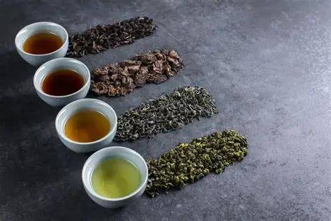 失眠、疲劳、老寒腿？一杯茶的工夫，高应丽帮你找到了根源