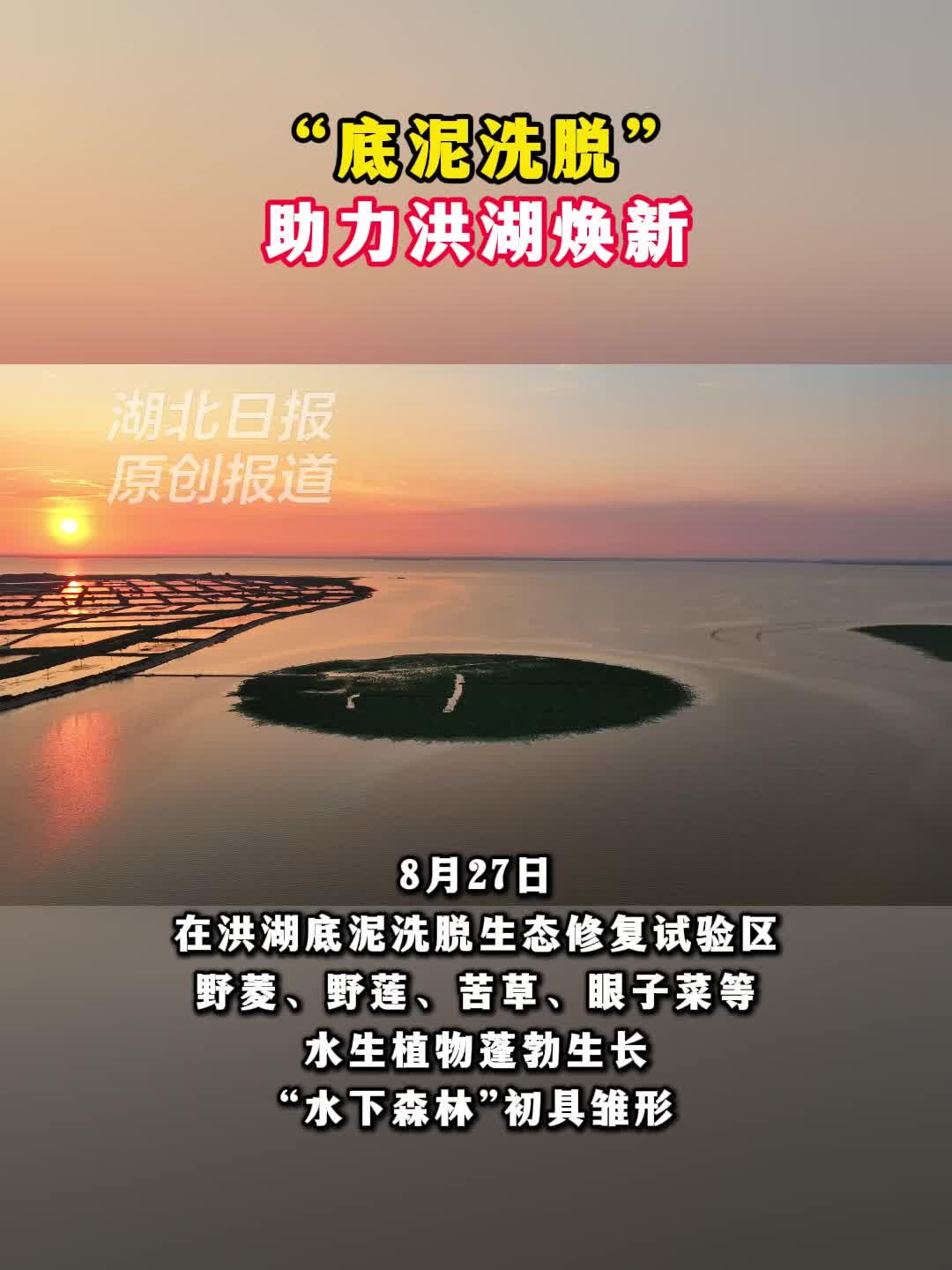 “底泥洗脱”助力洪湖焕新