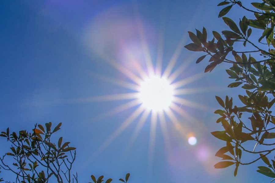 综艺《超棒的我们》戏剧性拉满黄博远天选综艺人？