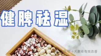 天疱疮反复发作？中医健脾祛湿有妙招