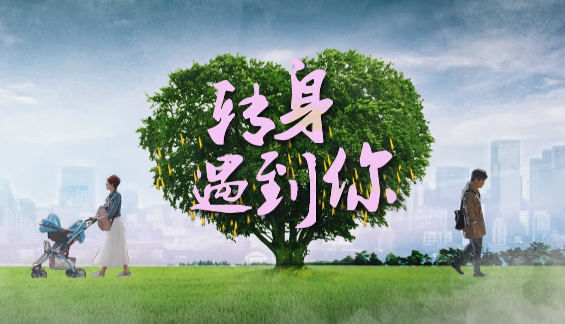 电视剧《转身遇到你》定档0908，于毅、童瑶、迟帅主演