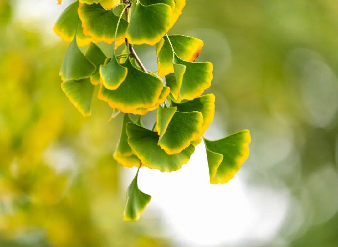 秋天燥得很！这三种食物要少吃