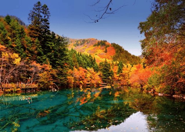 人生就是新陈代谢