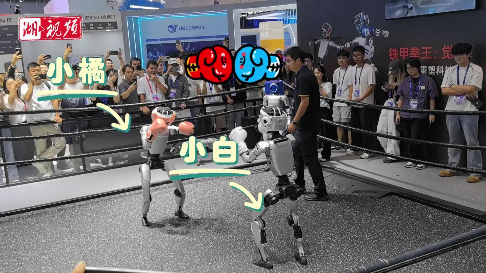 全球数字贸易博览会上，这几个机器人怎么打起来了！