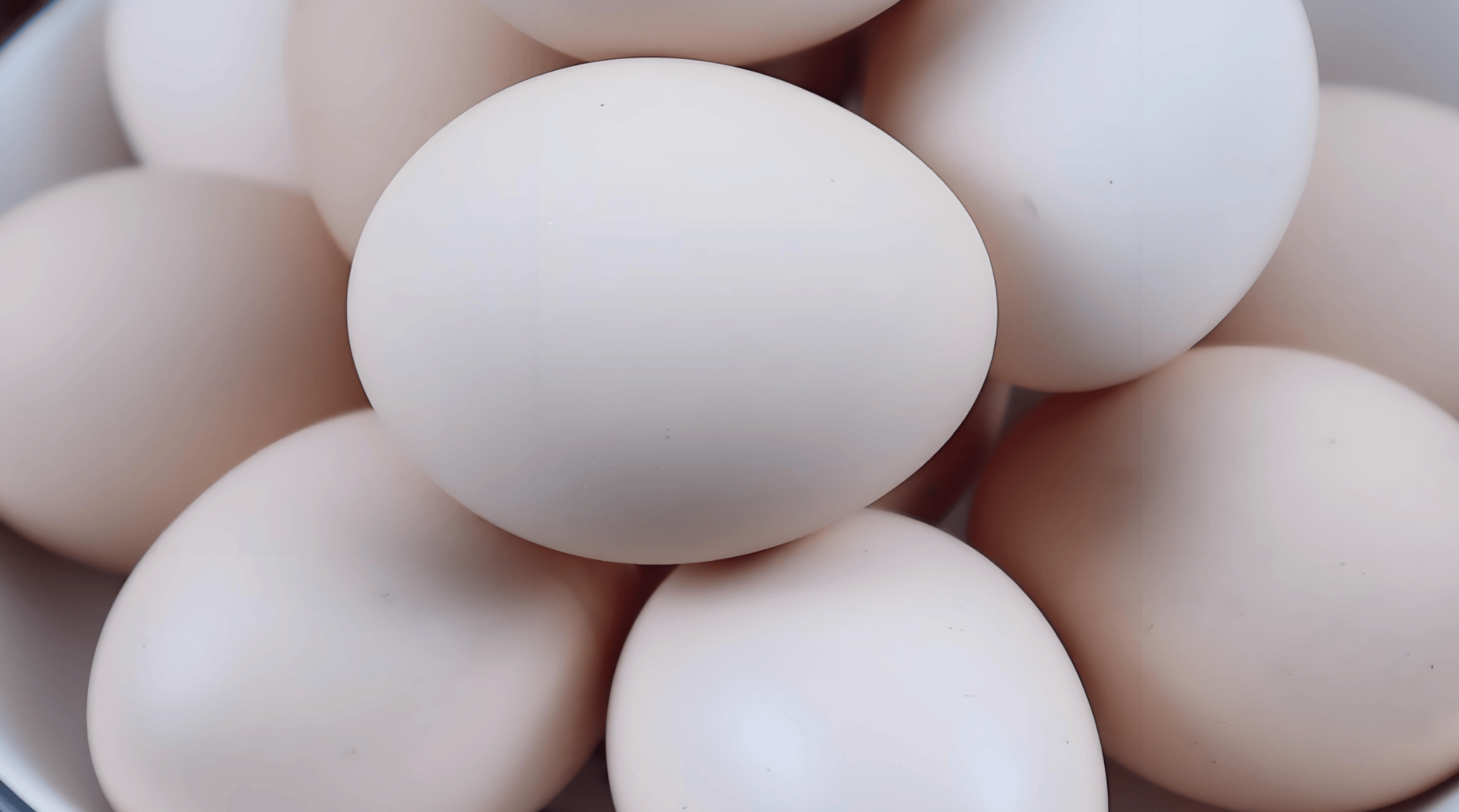 鸡蛋每天吃几个不浪费？豆浆这么喝才够味！胆固醇误区终于搞懂了