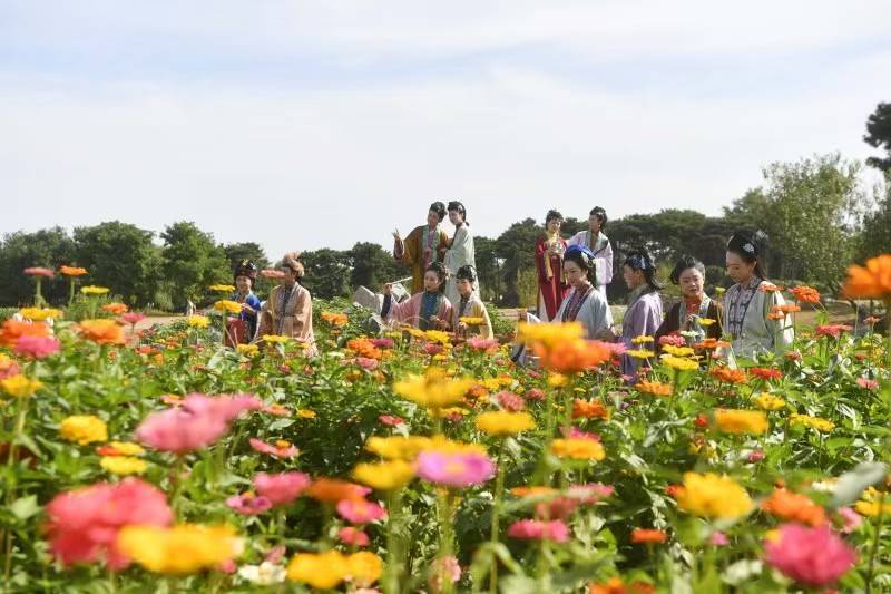 别只盯大水法！圆明园西部花海美成油画