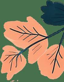 比医美和护肤品更狠的“美容药”，就藏在身体里，可惜很多人都不知道～