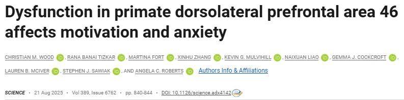 抑郁症治疗新突破！Science揭示前额叶A46区的情绪调控环路