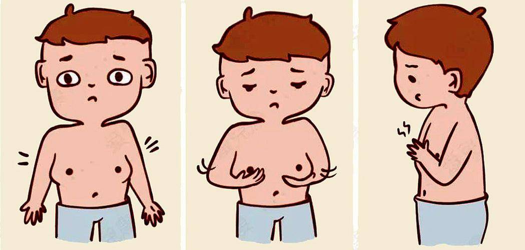 男性胸部摸到圆圆硬块？可能是乳腺体发育