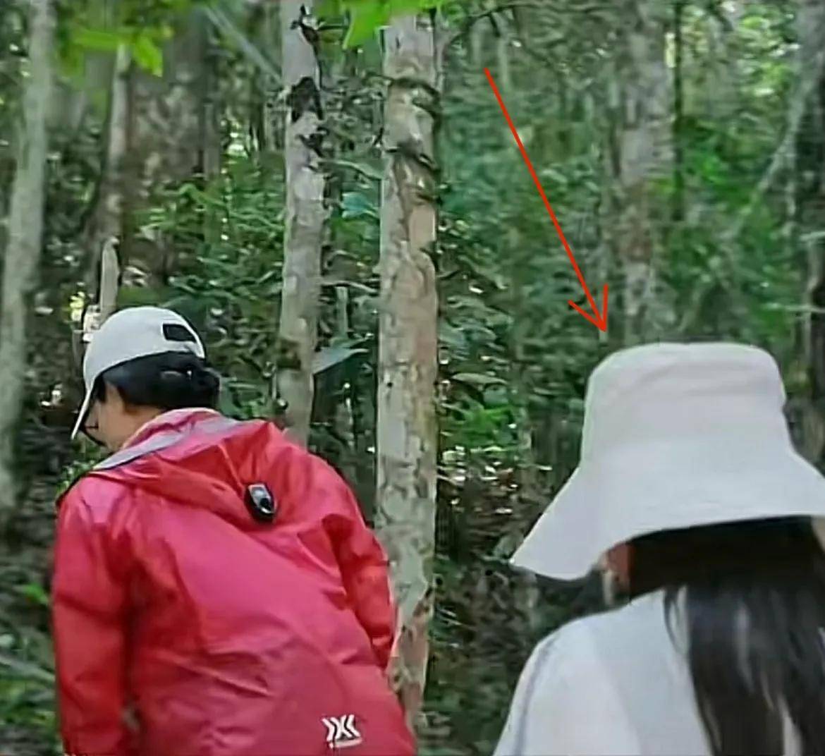 原创            看完《花少》中的李沁，终于知道她为什么演女主没什么存在感了？