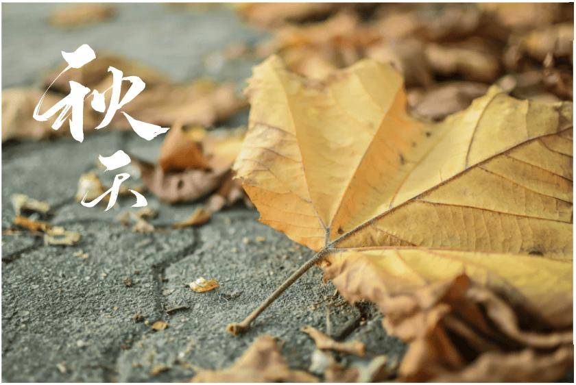 秋夜难眠？一场专为失眠者设计的“五感疗愈”计划