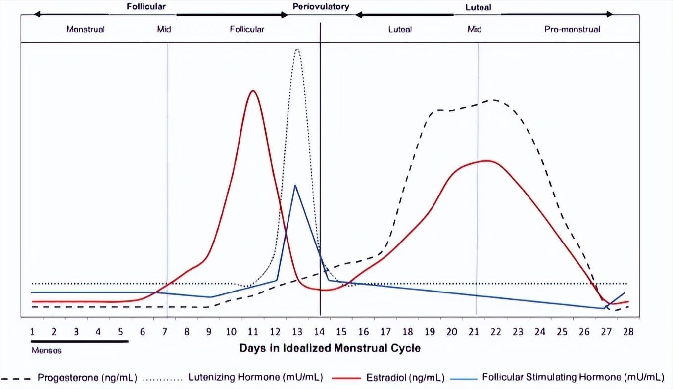 中国口服激素类避孕药行业现状深度分析与发展前景研究报告（2025-2032年）