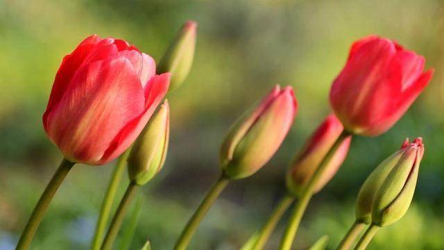 男人对你有以下三种表现，明显就是爱上你了，别不懂！