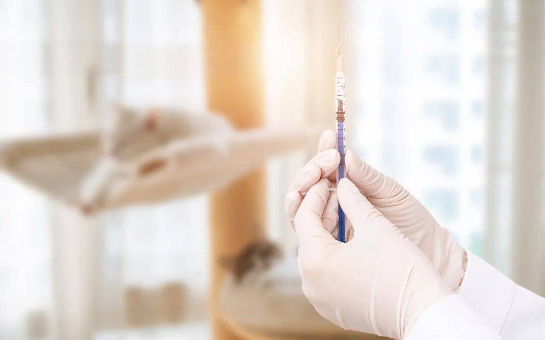 流感疫苗应不应该打？什么时候打最好？答案在这里！