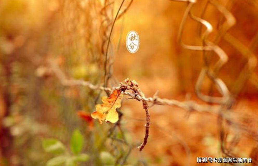 原创            “秋分5不吃，吃了秋难安”，5不吃指啥？明日秋分，告诉家人要忌嘴！