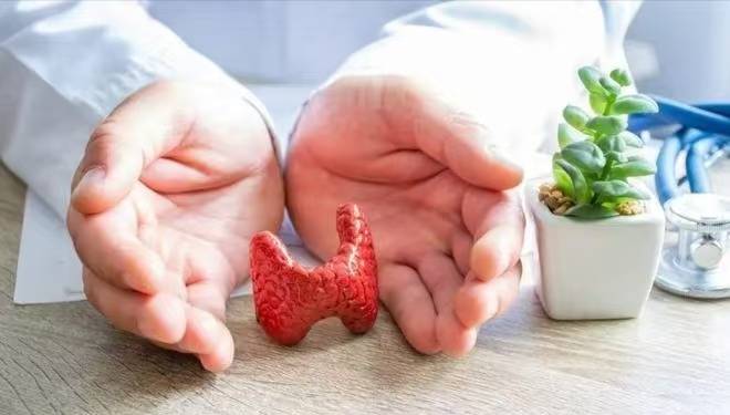甲状腺与色彩心理学：不同颜色环境如何调节你的激素水平