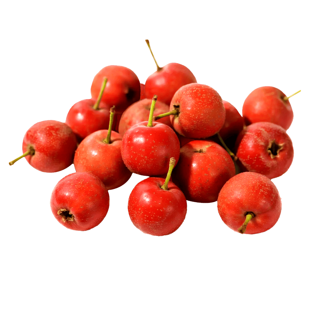 【饮食与健康】秋分节气养生饮食指南